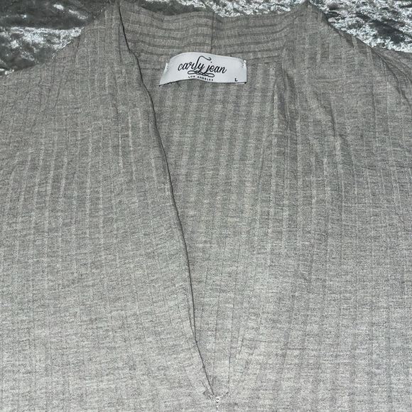 Carly Jean Los Angeles Scarlett Fitted Heather Gray V neck Top- Size Large - Picture 8 of 10